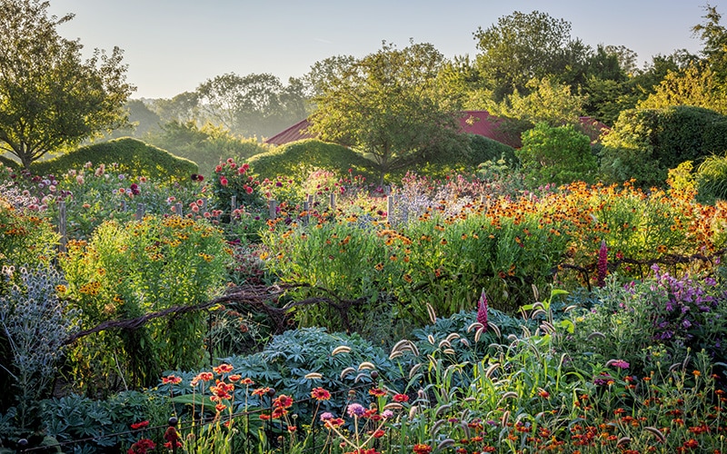 Perch Hill perennial cutting garden